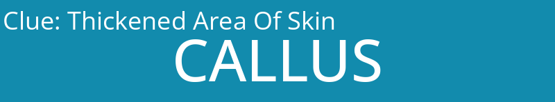 Thickened Area Of Skin