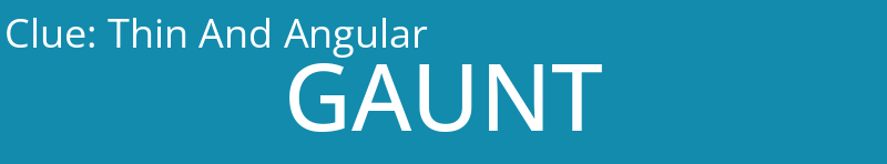 Thin And Angular