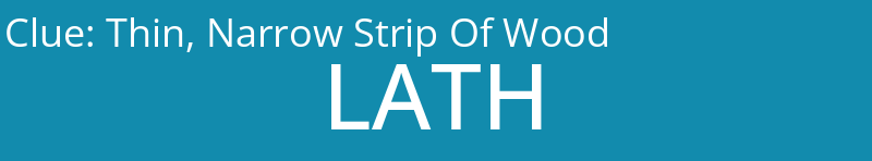 Thin, Narrow Strip Of Wood