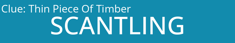 Thin Piece Of Timber