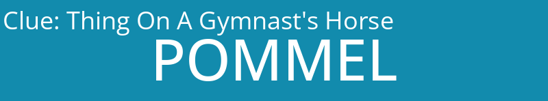 Thing On A Gymnast's Horse