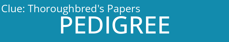 Thoroughbred's Papers