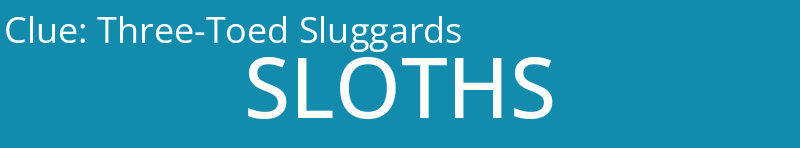 Three-Toed Sluggards