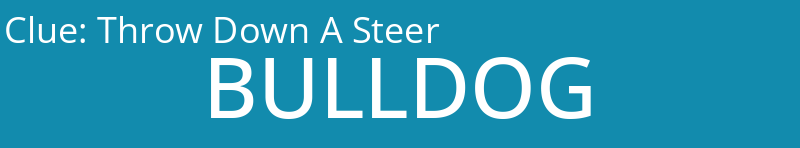 Throw Down A Steer