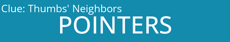 Thumbs' Neighbors