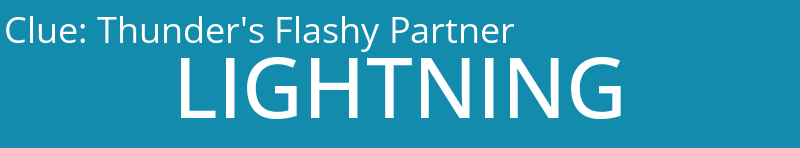 Thunder's Flashy Partner