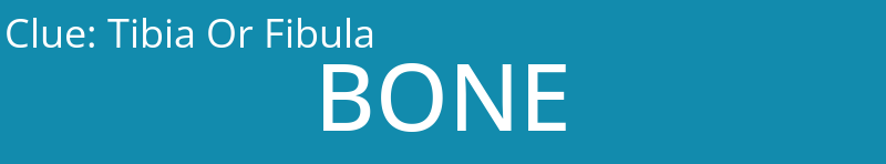 Tibia Or Fibula