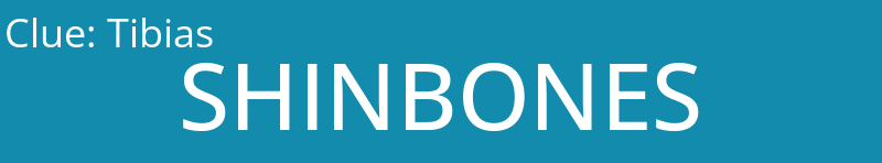 Tibias