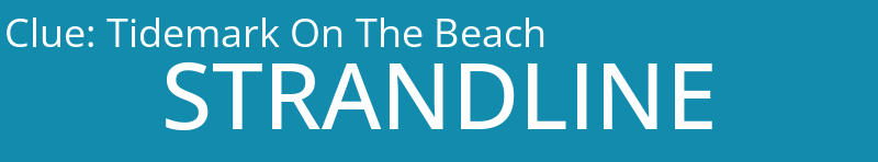 Tidemark On The Beach