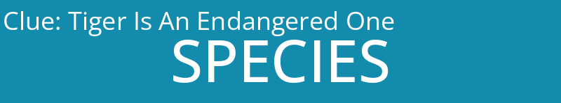 Tiger Is An Endangered One