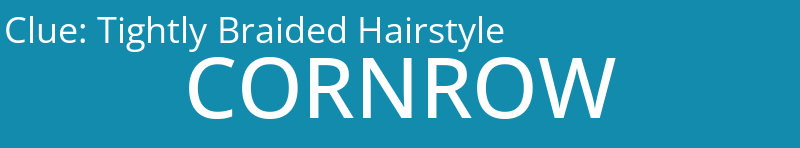 Tightly Braided Hairstyle