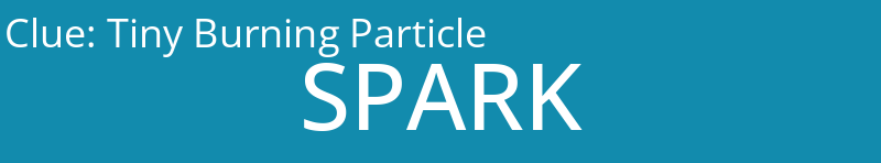 Tiny Burning Particle