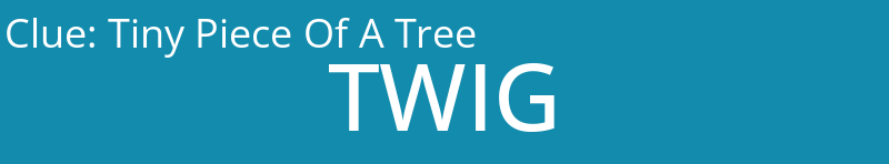 Tiny Piece Of A Tree