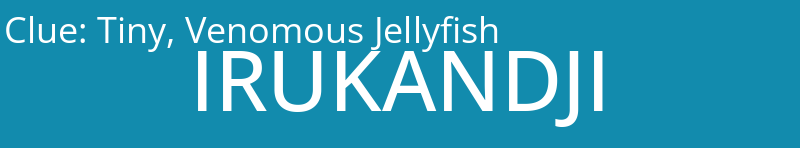 Tiny, Venomous Jellyfish