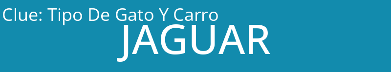 Tipo De Gato Y Carro