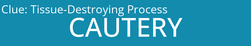 Tissue-Destroying Process