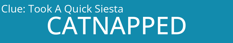 Took A Quick Siesta