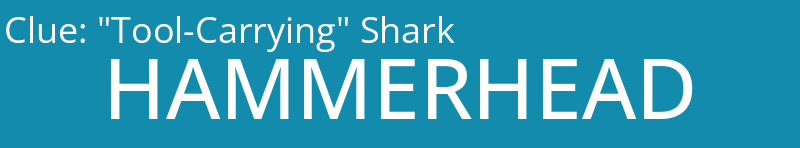"Tool-Carrying" Shark