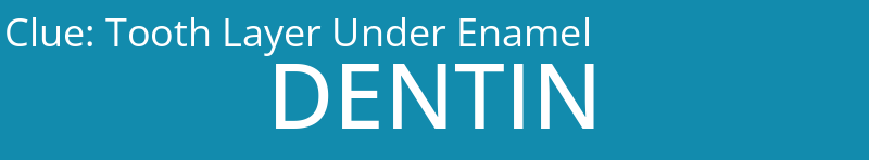 Tooth Layer Under Enamel