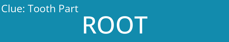 Tooth Part