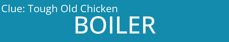 Tough Old Chicken