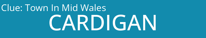 Town In Mid Wales