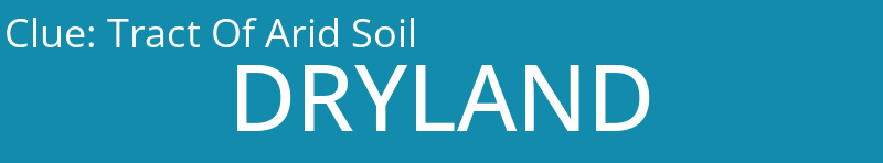 Tract Of Arid Soil