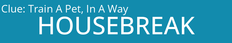 Train A Pet, In A Way