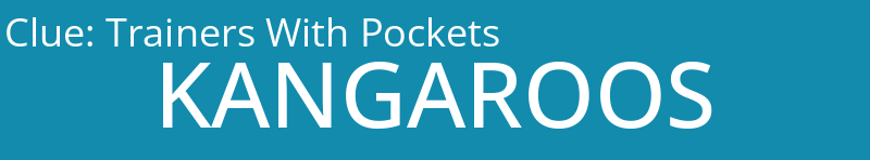 Trainers With Pockets