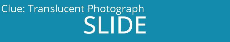 Translucent Photograph