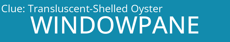 Transluscent-Shelled Oyster