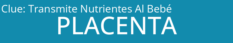 Transmite Nutrientes Al Bebé