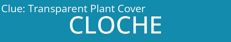 Transparent Plant Cover