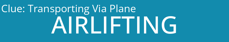 Transporting Via Plane