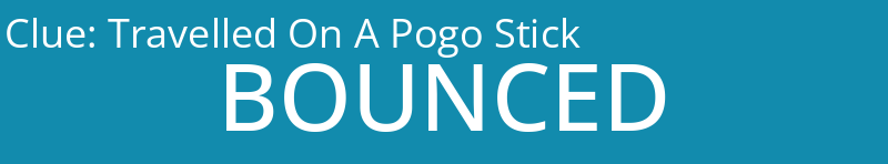 Travelled On A Pogo Stick