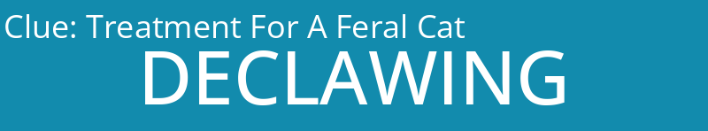 Treatment For A Feral Cat