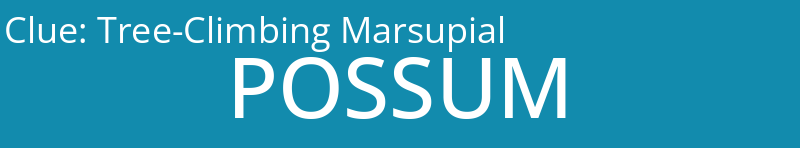 Tree-Climbing Marsupial