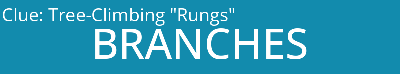 Tree-Climbing "Rungs"