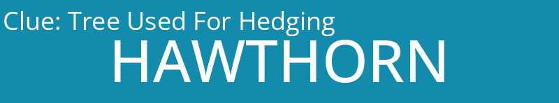 Tree Used For Hedging