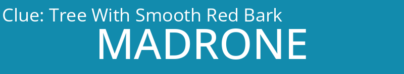 Tree With Smooth Red Bark