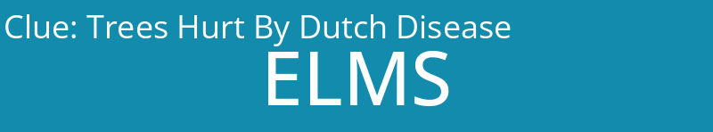 Trees Hurt By Dutch Disease