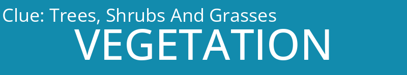 Trees, Shrubs And Grasses