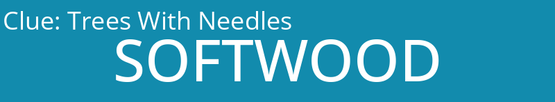 Trees With Needles