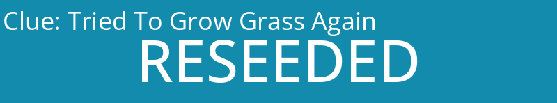 Tried To Grow Grass Again