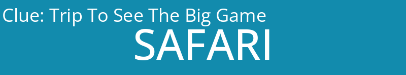 Trip To See The Big Game