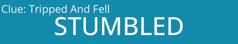 Tripped And Fell
