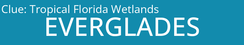 Tropical Florida Wetlands