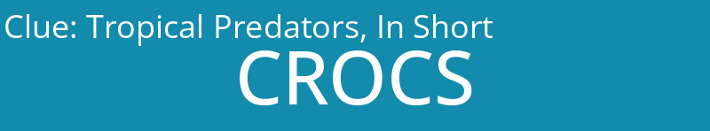 Tropical Predators, In Short