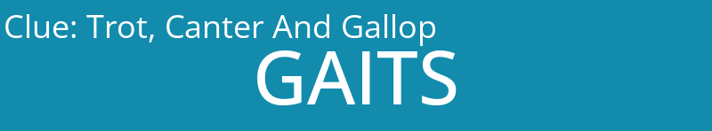 Trot, Canter And Gallop