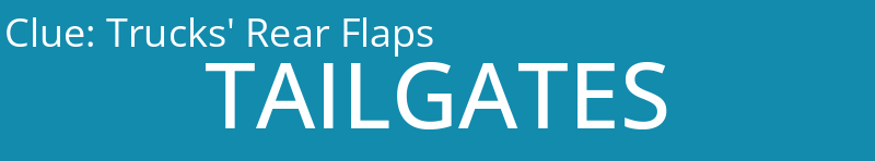 Trucks' Rear Flaps